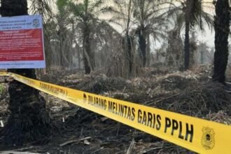 Pabrik sawit dan perusahaan disegel KLH karena KArhutla