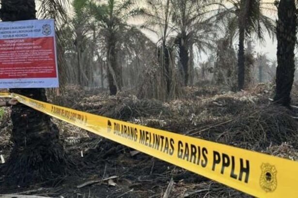 Pabrik sawit dan perusahaan disegel KLH karena KArhutla