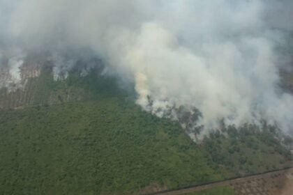 Foto udara salah satu area dampak kebakaran hutan dan lahan (karhutla) di Provinsi Riau