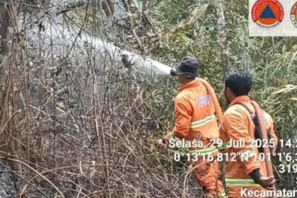 Petugas daru BNPB dan BPBD sedang berusaha memadamkan kebakaran lahan di Kabupaten Kampar, Riau, beberapa waktu lalu