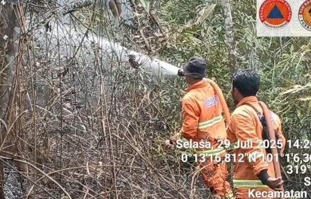 Petugas daru BNPB dan BPBD sedang berusaha memadamkan kebakaran lahan di Kabupaten Kampar, Riau, beberapa waktu lalu