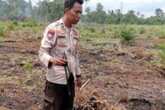 Tim Polres Inhil sedang menyelidiki dugaan tindak pidana pembakaran hutan dan lahan (karhutla) yang terjadi di Dusun Simpang Luar, Desa Simpang Gaung, Kecamatan Gaung, Kabupaten Inhil, Riau.