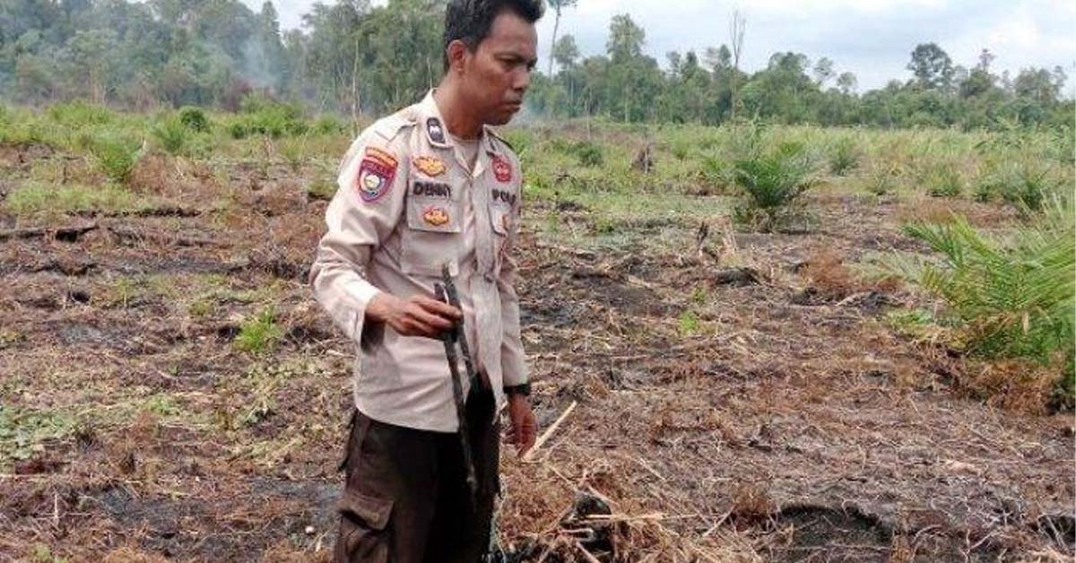 Tim Polres Inhil sedang menyelidiki dugaan tindak pidana pembakaran hutan dan lahan (karhutla) yang terjadi di Dusun Simpang Luar, Desa Simpang Gaung, Kecamatan Gaung, Kabupaten Inhil, Riau.