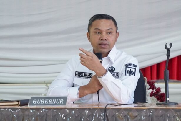 Gubernur Provinsi Riau, Abdul Wahid