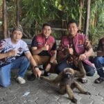 Kasat Reskrim Polresta Pekanbaru Kompol Bery Juana Putra (dua dari kanan) saat berhasil mengamankan satwa dilindungi jenis owa siamang bersama jajarannya