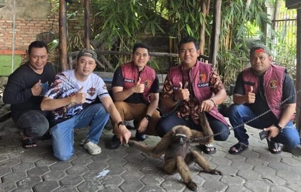 Kasat Reskrim Polresta Pekanbaru Kompol Bery Juana Putra (dua dari kanan) saat berhasil mengamankan satwa dilindungi jenis owa siamang bersama jajarannya