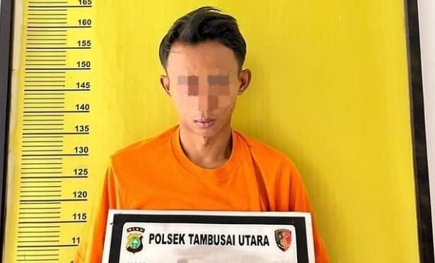 Tersangka berisinial MR (31) saat diamankan di polsek tambusai utara. Dari rumah pelaku di temukan, 14 sabun dengan berat 3,91 gram. | Foto: Polsek Tambusai Utara/Andrean